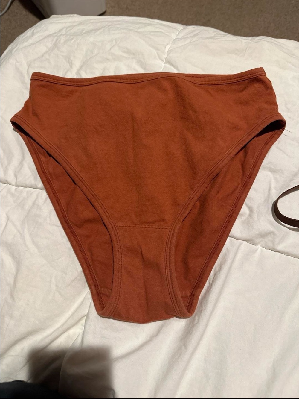 ARQ Misha Undies